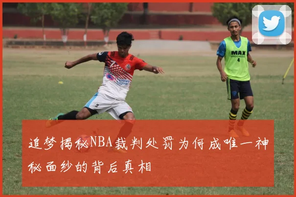 追梦揭秘NBA裁判处罚为何成唯一神秘面纱的背后真相