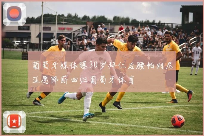 葡萄牙媒体曝30岁拜仁后腰帕利尼亚愿降薪回归葡萄牙体育